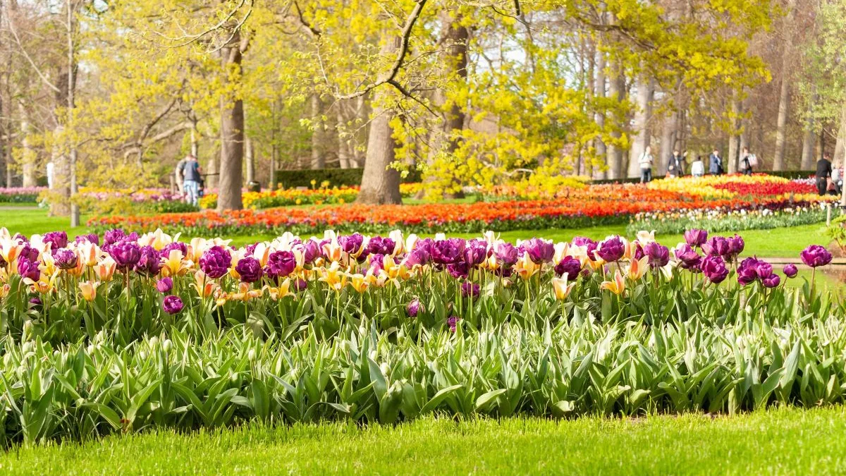 Primavera marca ciclo de renovação e rituais pelo país