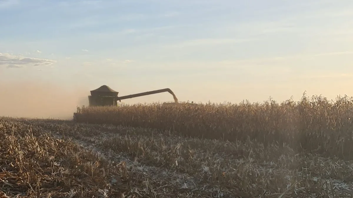 Juros altos impulsionam crédito estruturado no agro