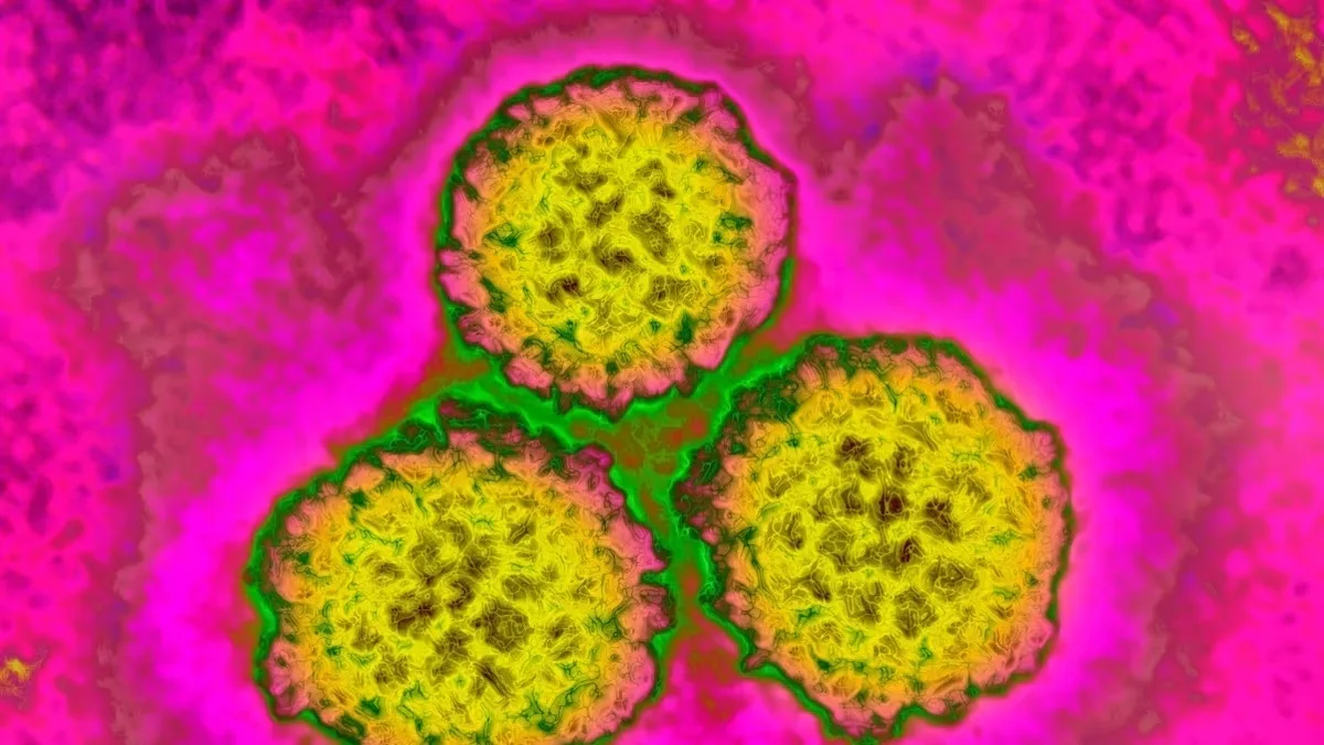 Câncer global: 1 em cada 8 casos ligado a infecções