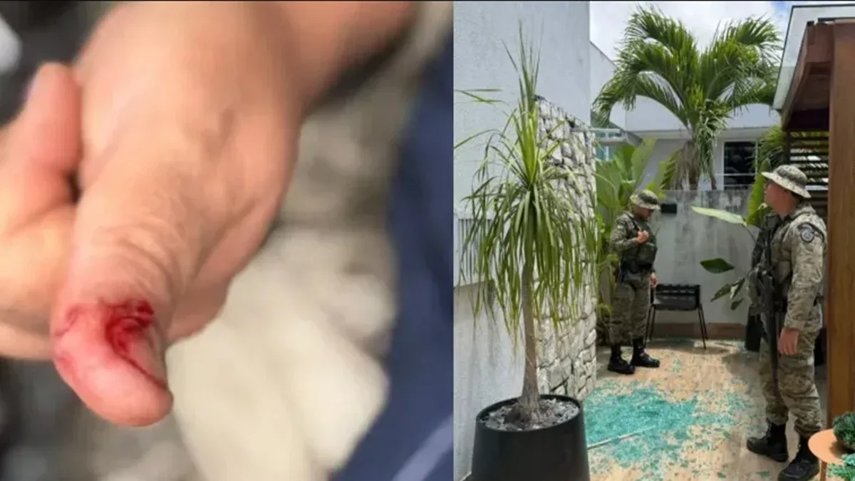 Macaco de ex-deputado foge e causa pânico em Salvador