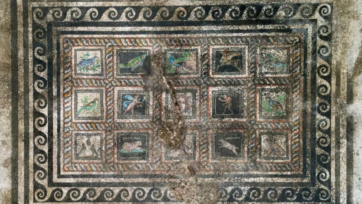 Arqueólogos acham mosaico romano com gato e cão