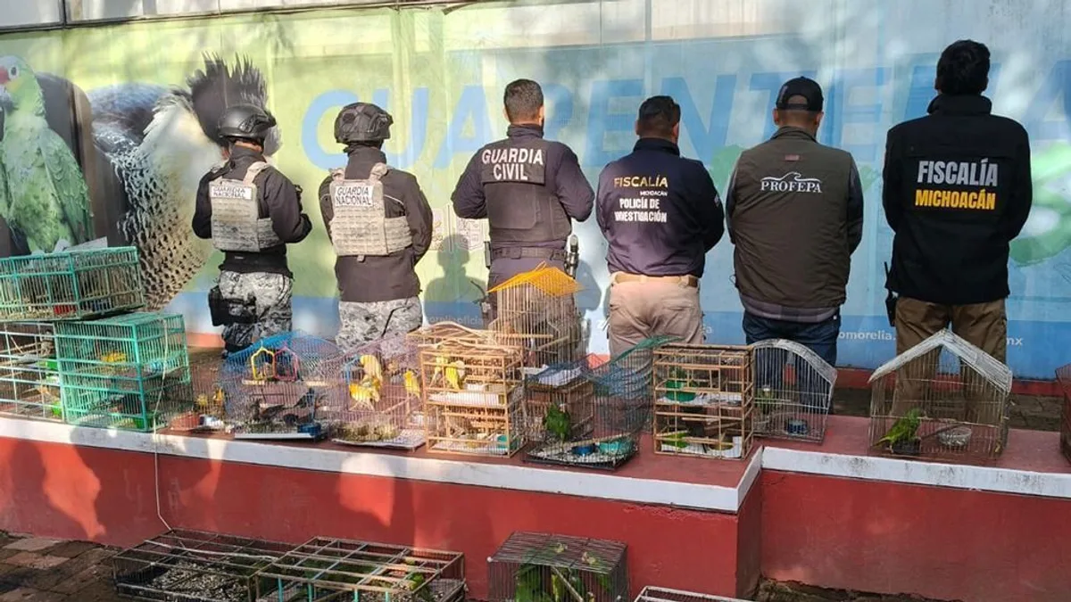 Interpol prende 233 suspeitos em crimes ambientais